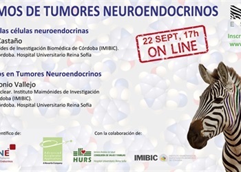 HABLEMOS DE TUMORES NEUROENDOCRINOS. Reunión online. Córdoba, 22 septiembre 2020